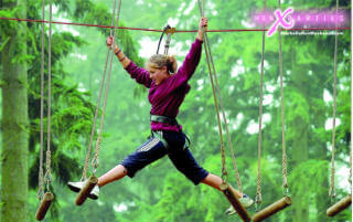 tree top