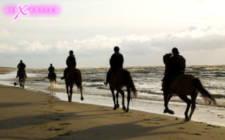 Horse riding