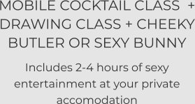 MOBILE COCKTAIL CLASS  + DRAWING CLASS + CHEEKY BUTLER OR SEXY BUNNY Includes 2-4 hours of sexy entertainment at your private accomodation